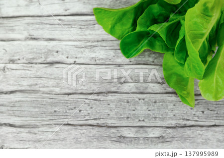 Healthy cooking backdrop with parsley and lettuce on wood Healthy cooking backdrop with parsley and lettuce on wood 137995989