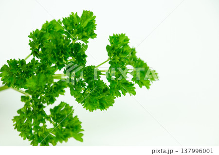 Healthy food background with fresh parsley bunch 137996001