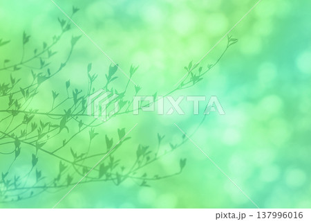春のやさしい木漏れ日の中、芽生える若葉のシルエット 137996016