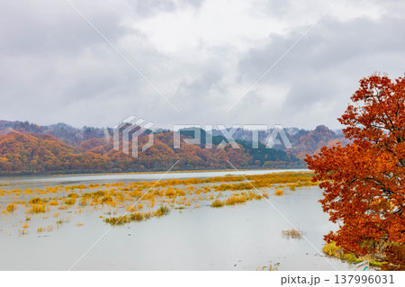 沙流川と黄葉 沙流川と黄葉 137996031