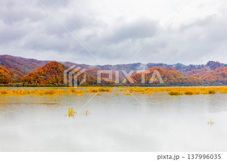 沙流川と黄葉 沙流川と黄葉 137996035