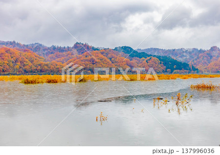 沙流川と黄葉 沙流川と黄葉 137996036