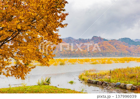 沙流川と黄葉 137996039