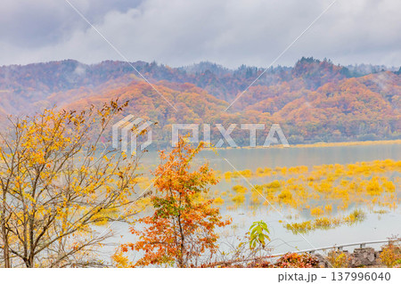 沙流川と黄葉 沙流川と黄葉 137996040