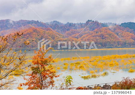 沙流川と黄葉 137996043