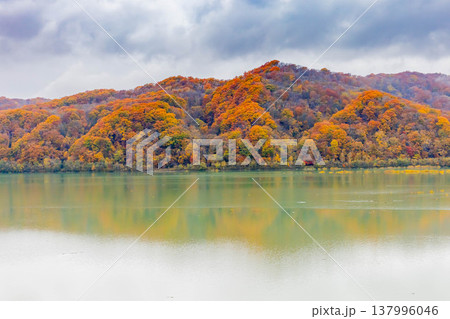 沙流川と黄葉 137996046