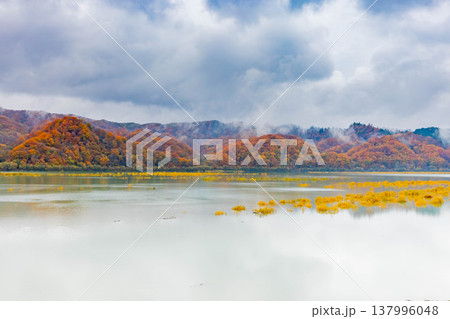 沙流川と黄葉 137996048