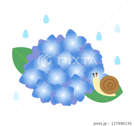 雨と紫陽花とカタツムリのイラスト 137996136
