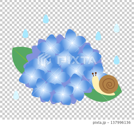 An illustration of rain, hydrangeas, and a snail. An illustration of rain, hydrangeas, and a snail. 137996136