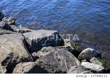 鳥取県の観光 鳥取県の観光 137996212