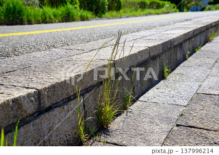 鳥取県の観光 137996214