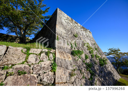 米子城跡 137996268