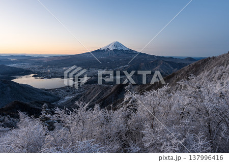 朝焼けに映える富士山と樹氷、眼下に河口湖を望む 朝焼けに映える富士山と樹氷、眼下に河口湖を望む 137996416