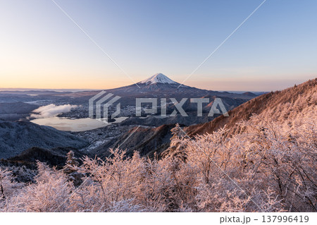 朝焼けに映える富士山と樹氷、眼下に河口湖を望む 朝焼けに映える富士山と樹氷、眼下に河口湖を望む 137996419