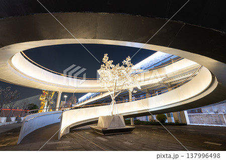 上海楊浦大橋夜景、螺旋スロープ内から見上げる光るモクレンの木と都市景観 137996498