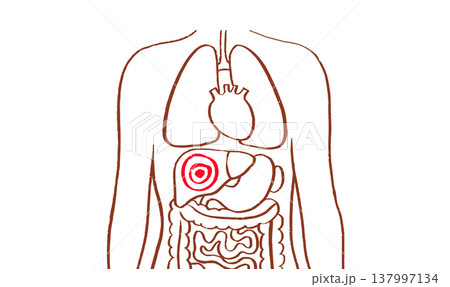 Liver disease concept Liver disease concept 137997134