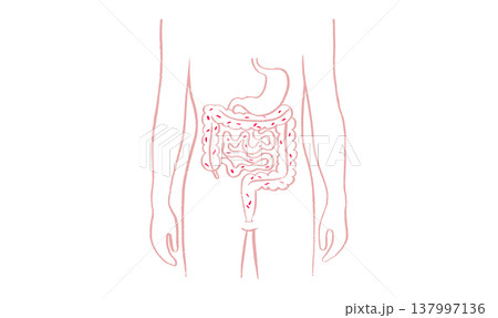 Gut Brain Connection Gut Brain Connection 137997136