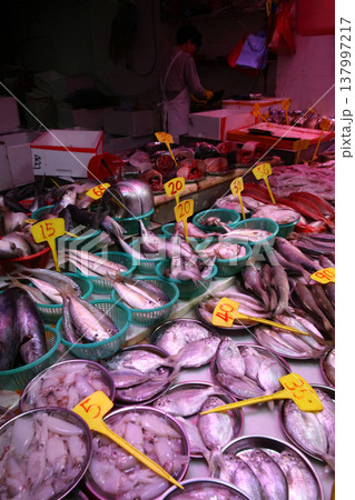 香港島北角の市場で売られる魚。日本ではなじみのない魚も多い 137997217