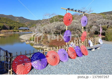 【愛媛県】晴天の南楽園梅まつり 【愛媛県】晴天の南楽園梅まつり 137997267