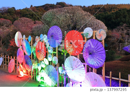 【愛媛県】晴天の南楽園梅まつり 【愛媛県】晴天の南楽園梅まつり 137997295