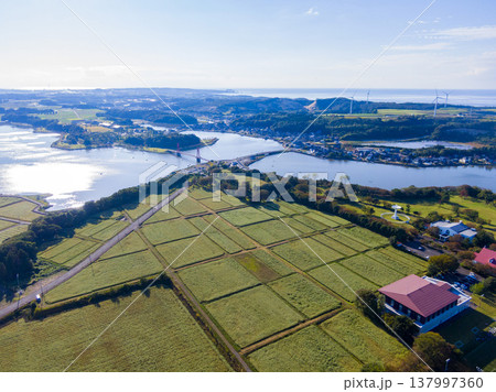福井県あわら市北潟湖の絶景ドローン空撮 満開のそば畑とアイリスブリッジ、風力発電の風車が並ぶ絶景 137997360