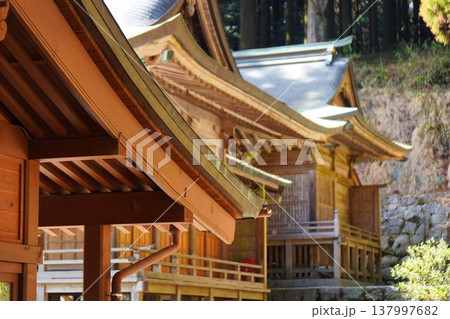 背振神社境内 137997682