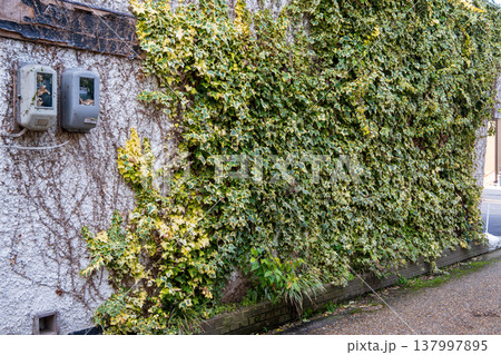 日本の鳥取県の三朝温泉の古くて美しい物 137997895