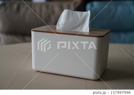 Modern Tissue Box on Tabletop Home Decor Modern Tissue Box on Tabletop Home Decor 137997996