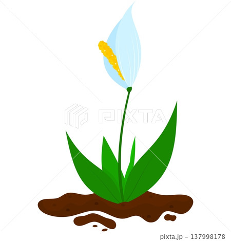 Blooming plant seedling in soil pile vector icon Blooming plant seedling in soil pile vector icon 137998178