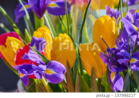 bouquet of spring tulips and irises with tulips 137998217