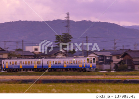 夕暮れの坂井平野 満開のそば畑を走るえちぜん鉄道 夕暮れの坂井平野 満開のそば畑を走るえちぜん鉄道 137998345
