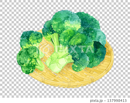 Broccoli on a bamboo basket - Hand-drawn watercolor illustration of vegetables Broccoli on a bamboo basket - Hand-drawn watercolor illustration of vegetables 137998413