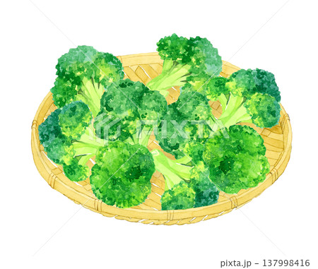 竹ざるに乗ったブロッコリー　野菜の手描き水彩イラスト素材 137998416