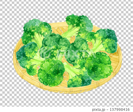 竹ざるに乗ったブロッコリー　野菜の手描き水彩イラスト素材 137998416