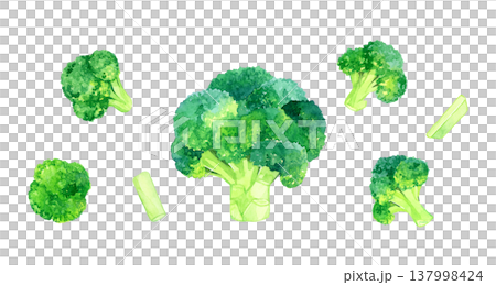 一套完整的和切好的西蘭花——手繪水彩蔬菜插圖。 137998424