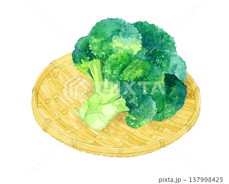 竹ざるに乗ったブロッコリー 野菜の手描き水彩イラスト素材のイラスト