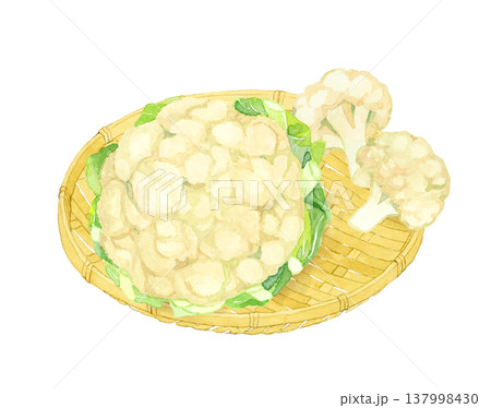 竹ざるに乗ったカリフラワー 野菜の手描き水彩イラスト素材 竹ざるに乗ったカリフラワー 野菜の手描き水彩イラスト素材 137998430