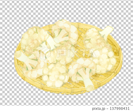 竹籃裡的花椰菜－手繪水彩蔬菜插圖 137998431