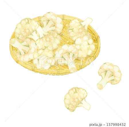 竹ざるに乗ったカリフラワー 野菜の手描き水彩イラスト素材 竹ざるに乗ったカリフラワー 野菜の手描き水彩イラスト素材 137998432