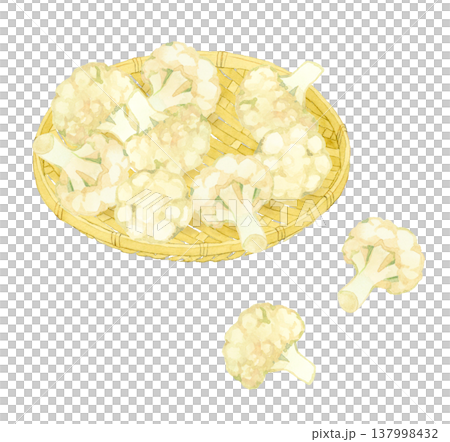 竹ざるに乗ったカリフラワー 野菜の手描き水彩イラスト素材 竹ざるに乗ったカリフラワー 野菜の手描き水彩イラスト素材 137998432