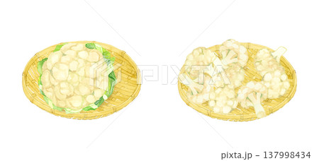 竹ざるに乗ったカリフラワーのセット 野菜の手描き水彩イラスト素材 竹ざるに乗ったカリフラワーのセット 野菜の手描き水彩イラスト素材 137998434