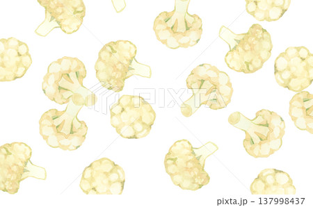 カリフラワーの背景　野菜の手描き水彩イラスト素材 137998437