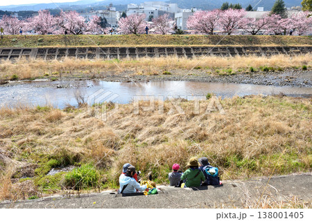 狩川両岸に咲く春めき桜と川岸で休憩する人達 狩川両岸に咲く春めき桜と川岸で休憩する人達 138001405