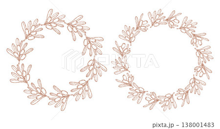 Sea Buckthorn Circular Wreath Set. Line Art Botanical Round Frame with Branch Berries and Leaves with Empty Copy Space. Isolated Outline hand-drawn Template on White. Vector illustration Sea Buckthorn Circular Wreath Set. Line Art Botanical Round Frame with Branch Berries and Leaves with Empty Copy Space. Isolated Outline hand-drawn Template on White. Vector illustration 138001483