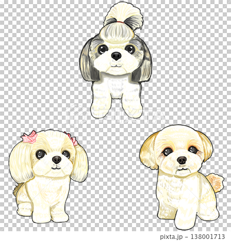 三種西施犬 三種西施犬 138001713
