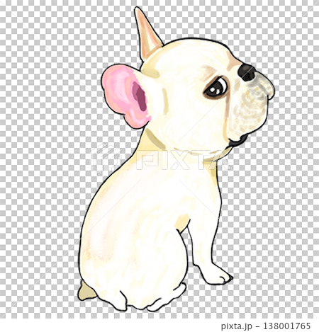 French bulldog French bulldog 138001765