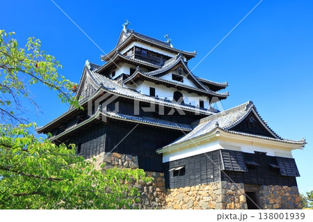 【島根県】快晴の松江城天守閣(国宝) 【島根県】快晴の松江城天守閣(国宝) 138001939