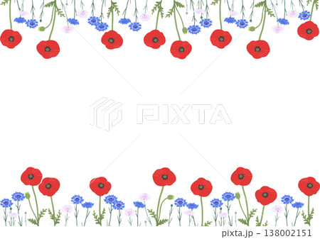矢車菊とポピーの花フレーム（上下装飾）｜春夏のナチュラルベクター枠素材（透過） 138002151