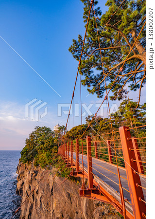 （静岡県）東伊豆・城ヶ崎海岸　早朝 138002207
