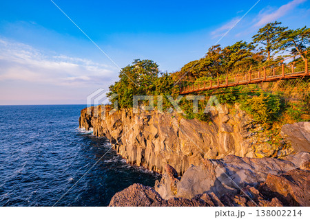 (静岡県)東伊豆・城ヶ崎海岸 早朝 (静岡県)東伊豆・城ヶ崎海岸 早朝 138002214